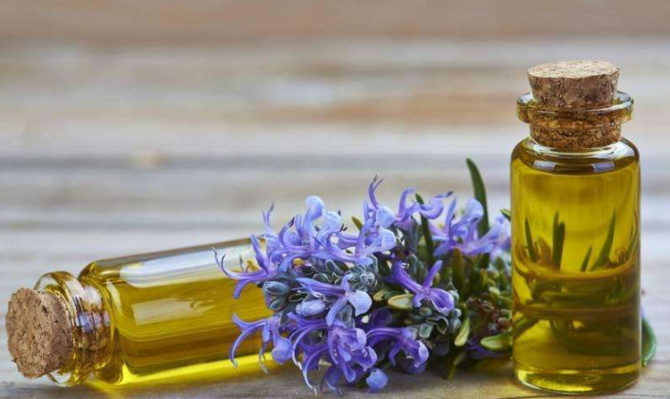 ����spa������