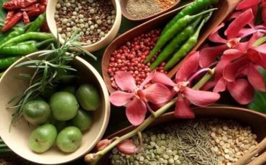 ��Ҫ��ѧ���� ʳ�������Ǻܺõ�������ʽ