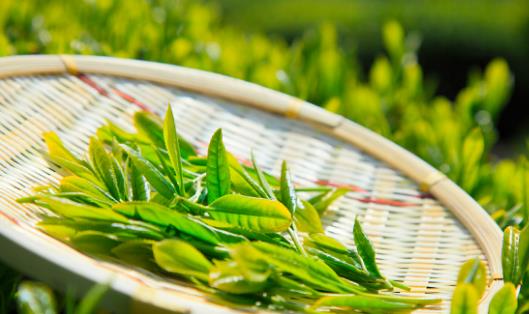 ���������سԵ�3����ʳ