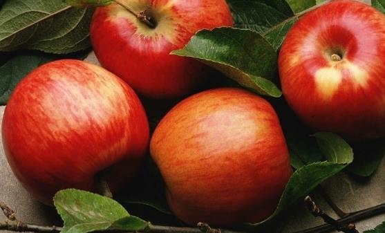 ˮ��������ǿ���������ܻ��� ��ˮ������ķ���