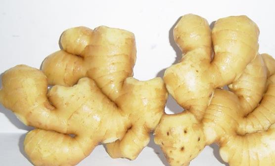 �����������صĿ��׸��� ������⿳��������Ͻ���