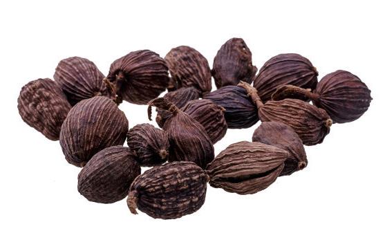 �����������صĿ��׸��� ������⿳��������Ͻ���