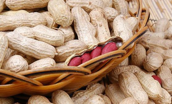 �з��ζ�������ʺ�ÿһ���� ���з���Ĵ����