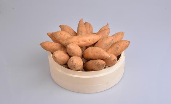 ������Ů��ͬ������Ҫ Ů���������ͽ����Է�