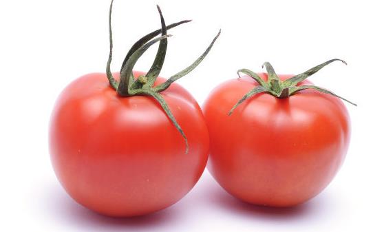 Ů�������س�����ʳ�� �����ܲ���������