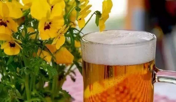 ơ�Ƶ�15���������� ����ơ�Ʋ�������ϴˢ���ס�������ϴ�¡�����