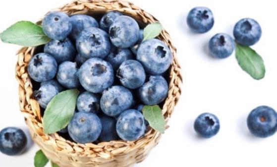 ����������ˮ�� ��ֹ���з�