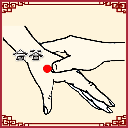 ��������Ѩλ������ ���ʺ����ڰ�Ħ������Ѩλ