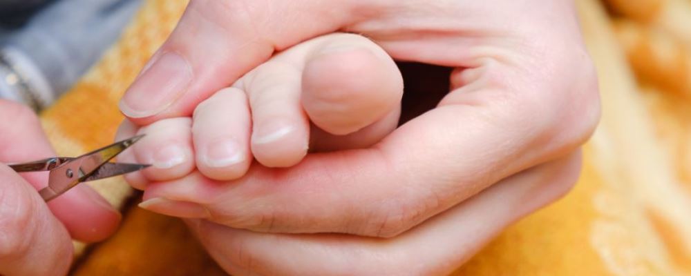 �ŵװ�Ħ��ʲô���� �ŵװ�ĦҪ��ô�� �ŵװ�ĦҪע��ʲô