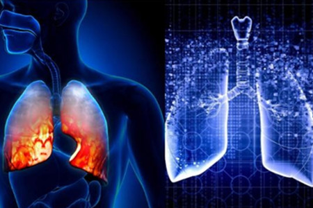 ֧�����װ�ʲôѨλ����Ч����ֹ�ȣ�