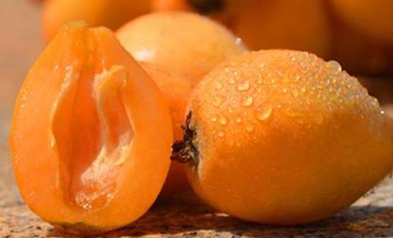 ���˹���Ӫ������������ˮ�� �����ο���ʳ�Ʒ��Ƽ�