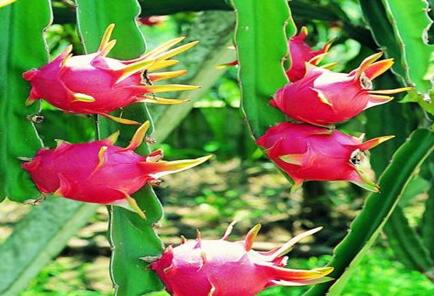 �����������Ի������ԣ��Ի������Ľ���