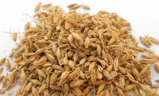 �ݽ���ů�ⷦ �ݽż��ʿ��Լӵ�8����ҩ