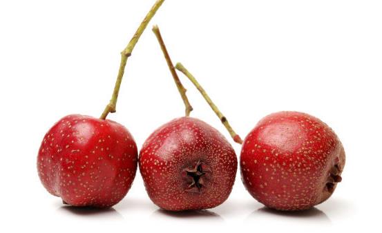 �ݽ���ů�ⷦ �ݽż��ʿ��Լӵ�8����ҩ