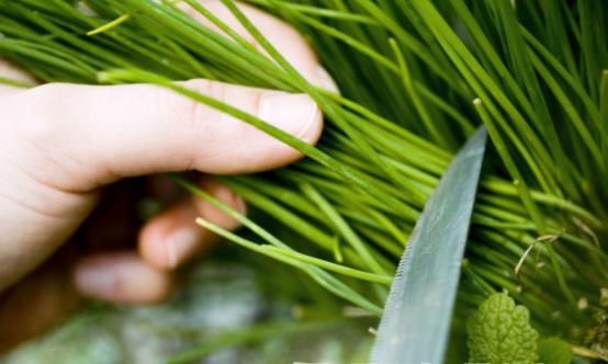 Ů�Դ�������Ӧ��ע��ʲô Ů�˴�����������������