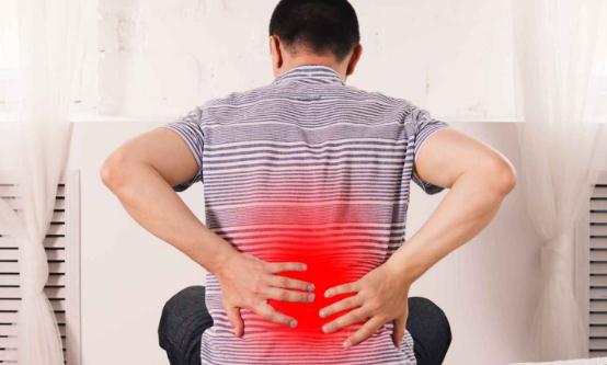 ���շ�������������� ���������ʳ�Ʒ���