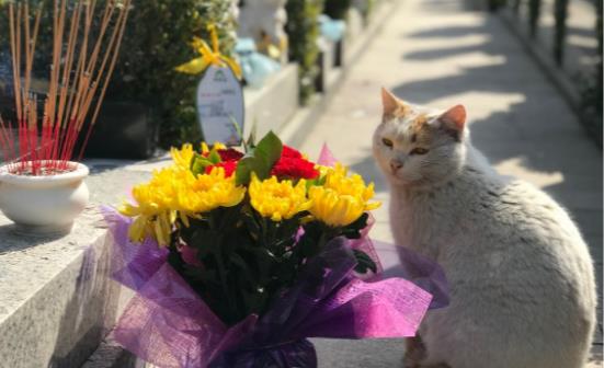 ����ʱ��������� 