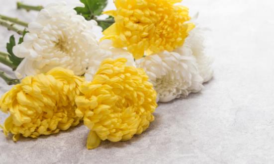 ����ʱ��������� 