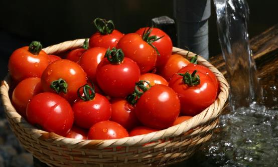 Ů��˥�ϵÿ��ԭ�� �̵��Ĵ󿹲���˥�ϵ�ʳ��