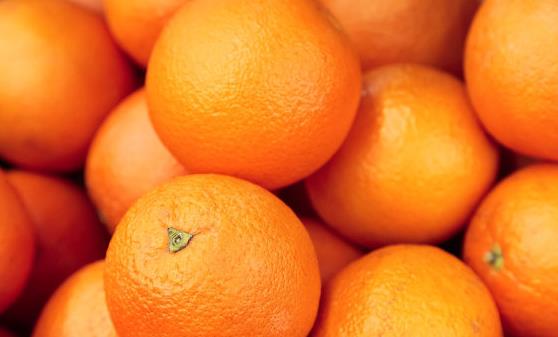 Ů��˥�ϵÿ��ԭ�� �̵��Ĵ󿹲���˥�ϵ�ʳ��