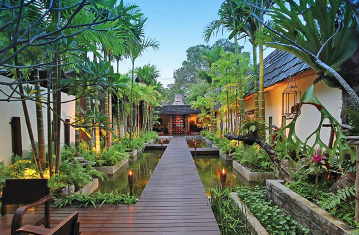 ����SPA��Ħ���Ƽ�