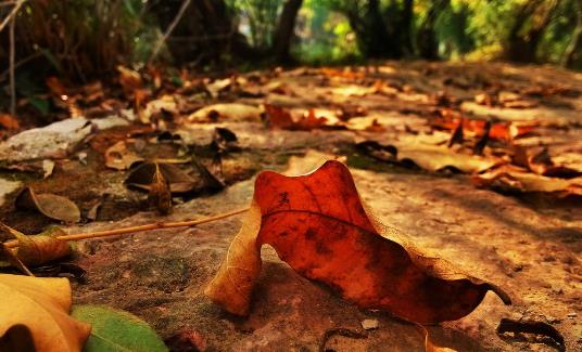 ������＾���������