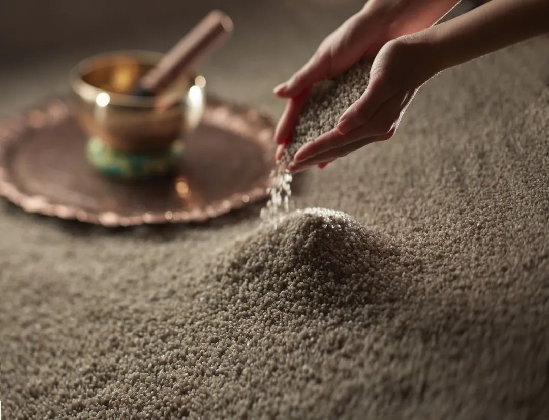 ���ݻ��Ƶ�����SPA�������������飿