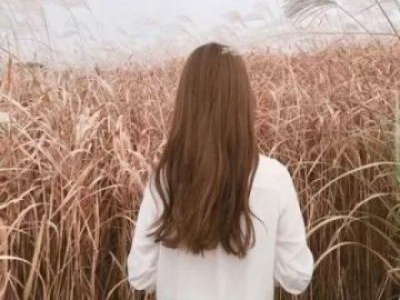 ������������ʿ���Ƚ�����ʲô���ı�����Ħ�����أ�