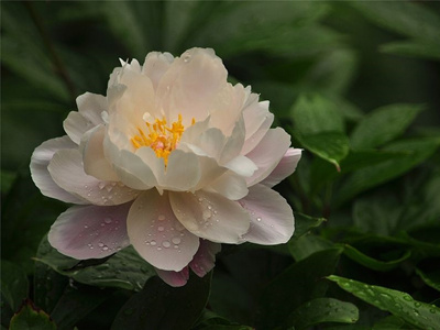 ����spa˿�ఴĦ����