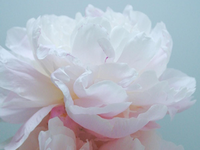 ����spa˿�ఴĦ����