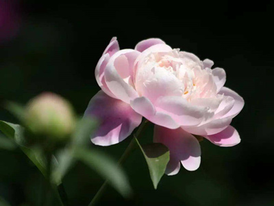 ����spa˿�ఴĦ����