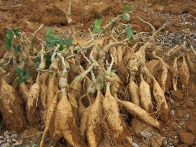 ��˵�������Ч������·����ʽ������ݰ�������������ã�