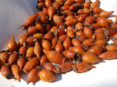 ����·��ͥʽ�������Ϊ��������ӣ�ӵ�����