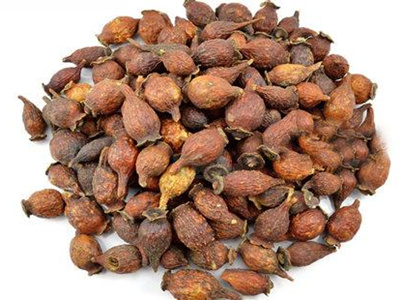 ����·��ͥʽ�������Ϊ��������ӣ�ӵ�����