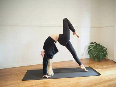 ���٤���ǵ���������ʲô��ɽˮ��԰����ʽ���Ϊ����