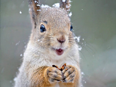 ����spa��Ħ