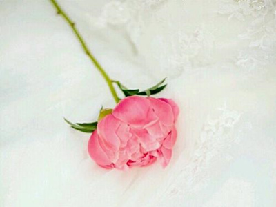 ����˿�ఴĦ����