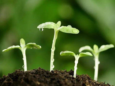 ����˿�����