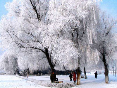 ����˿�����