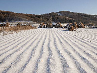 ����˿�����