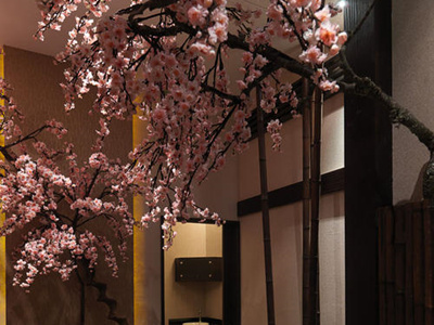 ������ʿspa���