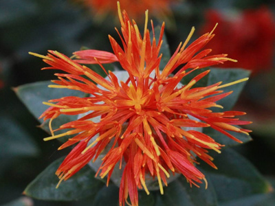 ����˿�����