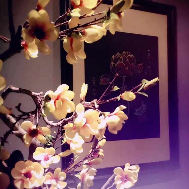 ������ʿspa˽�˻���-��ʿ˽��spa���߶�spa����