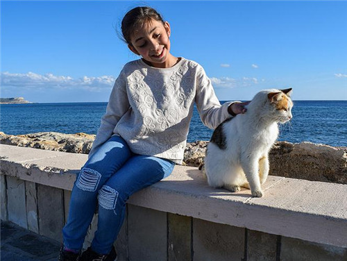 ���ڸ߶�˿�����