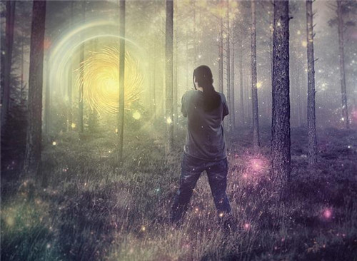 ���ڸ߶�˿�����