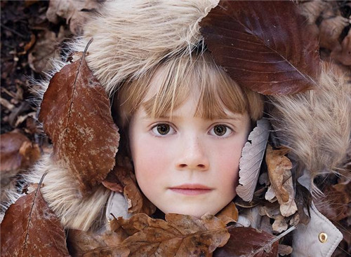 ���ڸ߶�˿�����