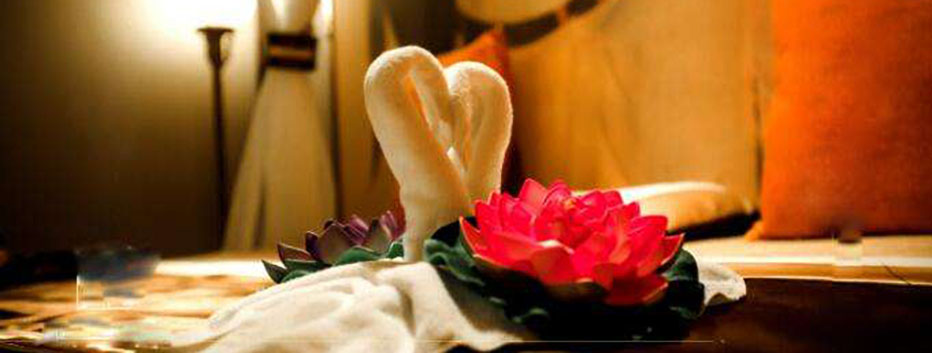 ������ʿ˽��spa���л���