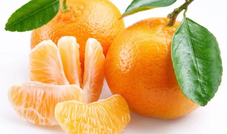 ����˿�����