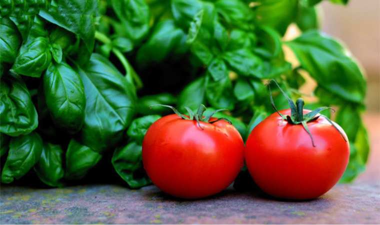 ����˿�����