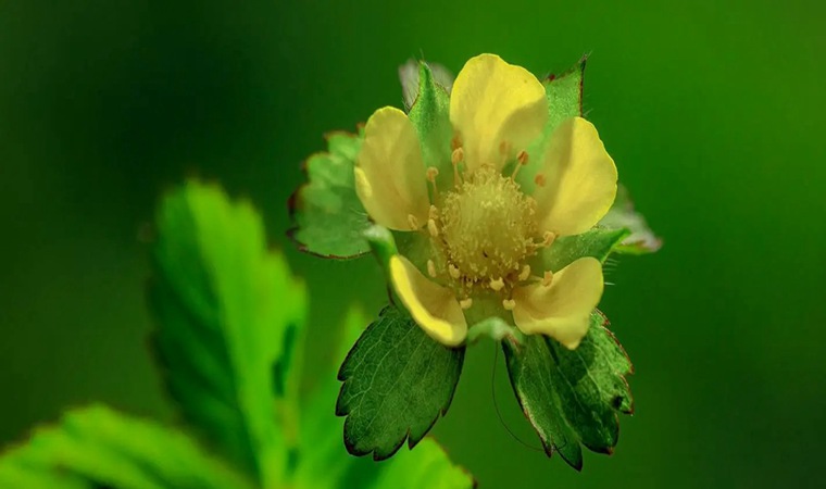 ����˿�㰴Ħ��